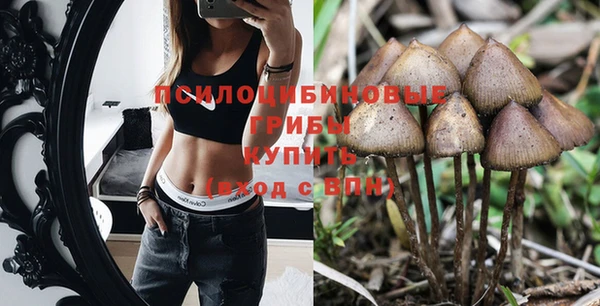 гидра Белоозёрский